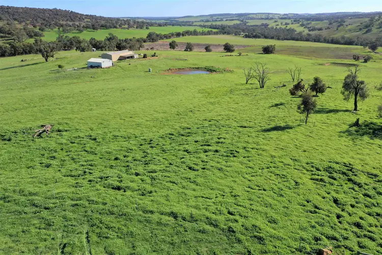 1734 Bindoon-Moora Road, Mooliabeenee WA 6504