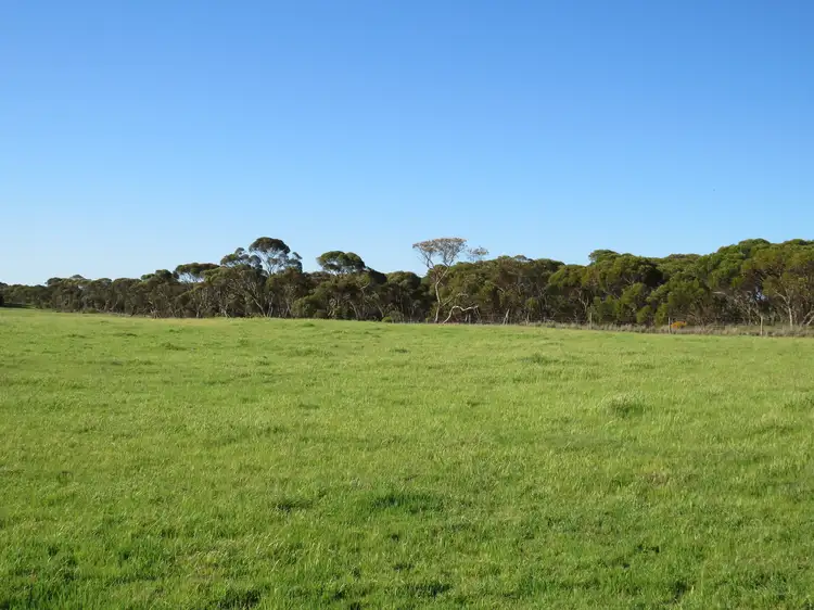 Second view of Homely rural property listing, 1467 Dark Island Well Road, Keith SA 5267