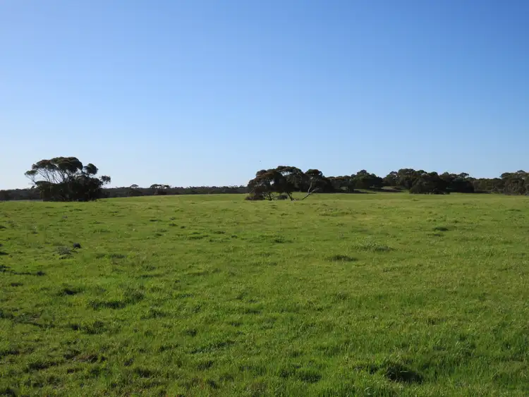 Third view of Homely rural property listing, 1467 Dark Island Well Road, Keith SA 5267