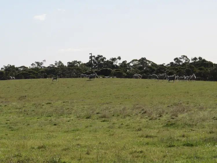 Sixth view of Homely rural property listing, 1467 Dark Island Well Road, Keith SA 5267