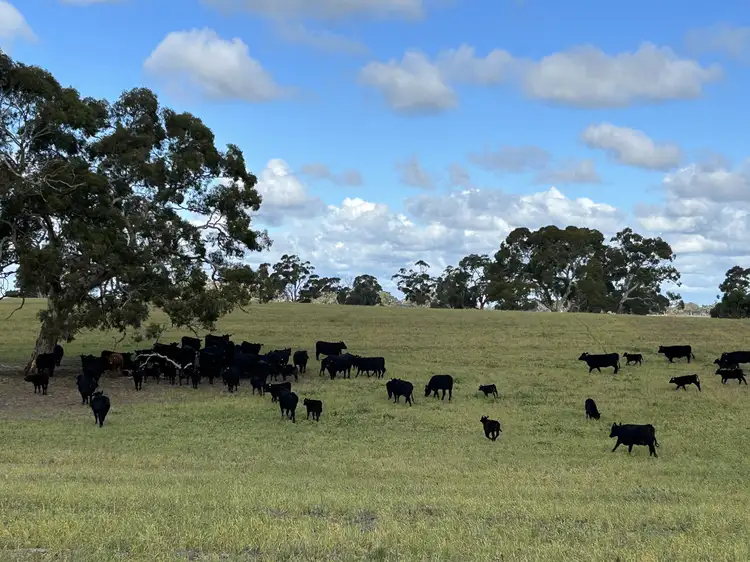 Third view of Homely rural property listing, 71 Joys Road, Binnum SA 5262