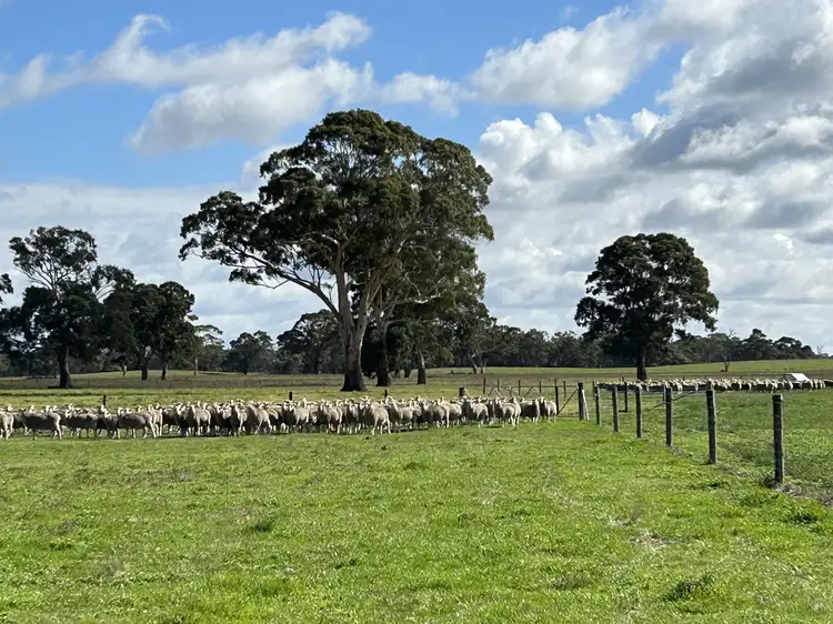 Fourth view of Homely rural property listing, 71 Joys Road, Binnum SA 5262
