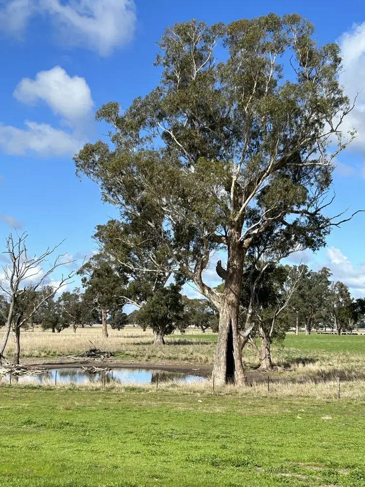 Sixth view of Homely rural property listing, 71 Joys Road, Binnum SA 5262
