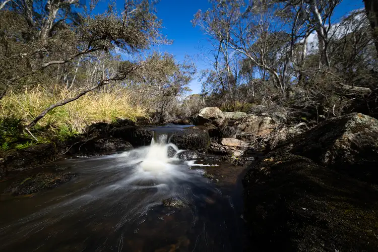 Main view of Homely rural property listing, 'Waterfall" Kydra Fire Trail, Kybeyan NSW 2631