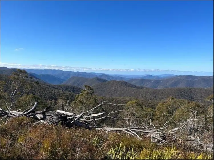 Second view of Homely rural property listing, 'Waterfall" Kydra Fire Trail, Kybeyan NSW 2631