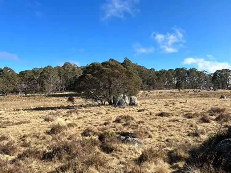 Sixth view of Homely rural property listing, 'Waterfall" Kydra Fire Trail, Kybeyan NSW 2631