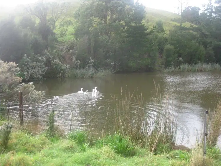 Fifth view of Homely rural property listing, Lot 2 Trowutta Road, Edith Creek TAS 7330