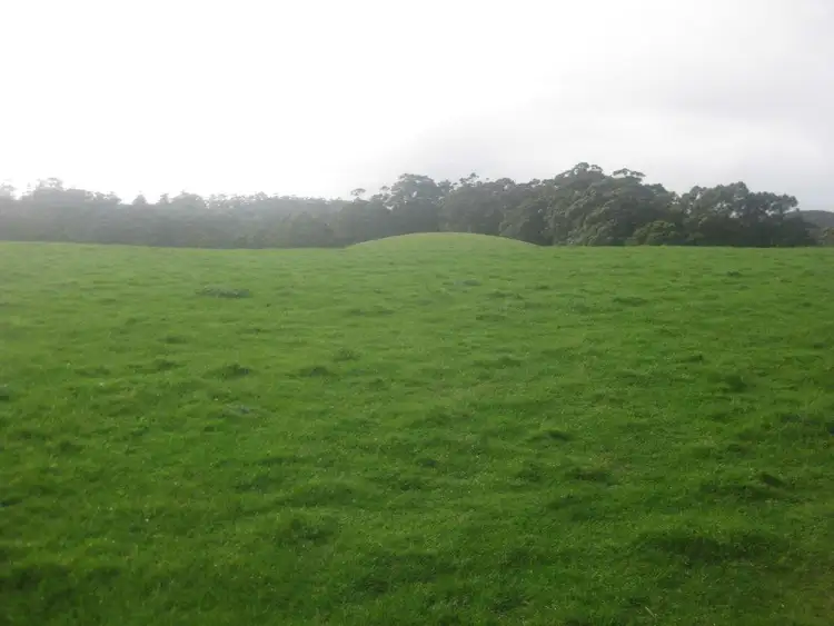 Seventh view of Homely rural property listing, Lot 2 Trowutta Road, Edith Creek TAS 7330