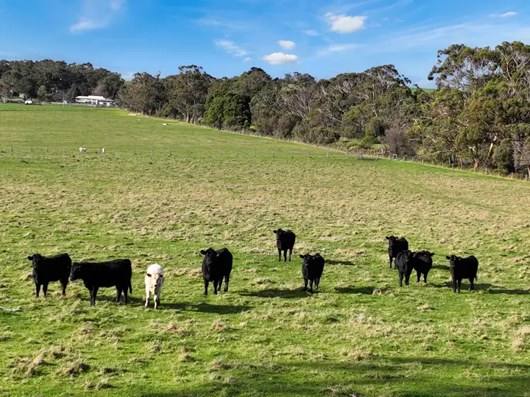 Fourth view of Homely rural property listing, 625 Rougheads Road, Koonwarra VIC 3954