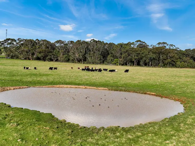 Fifth view of Homely rural property listing, 625 Rougheads Road, Koonwarra VIC 3954