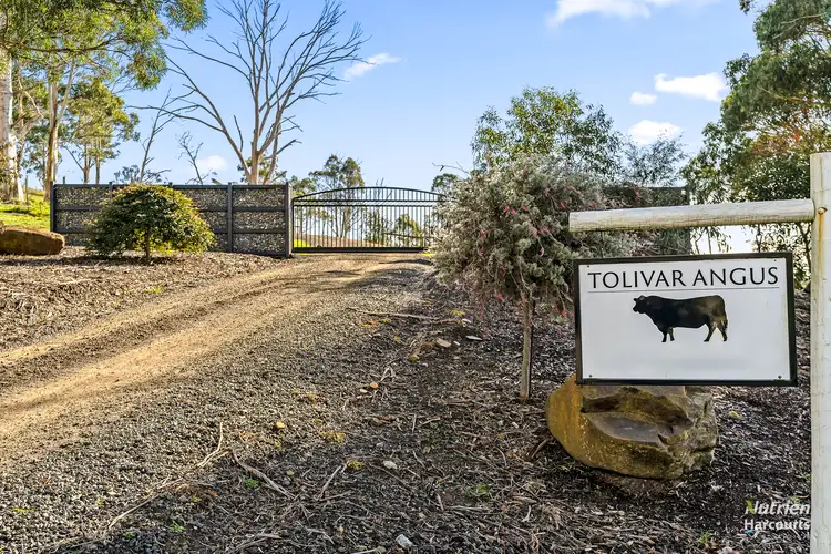Second view of Homely rural property listing, 13 Gibsons Road, Riverside TAS 7250