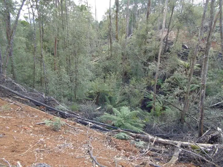 Second view of Homely rural property listing, . Bills Road, Roger River TAS 7330