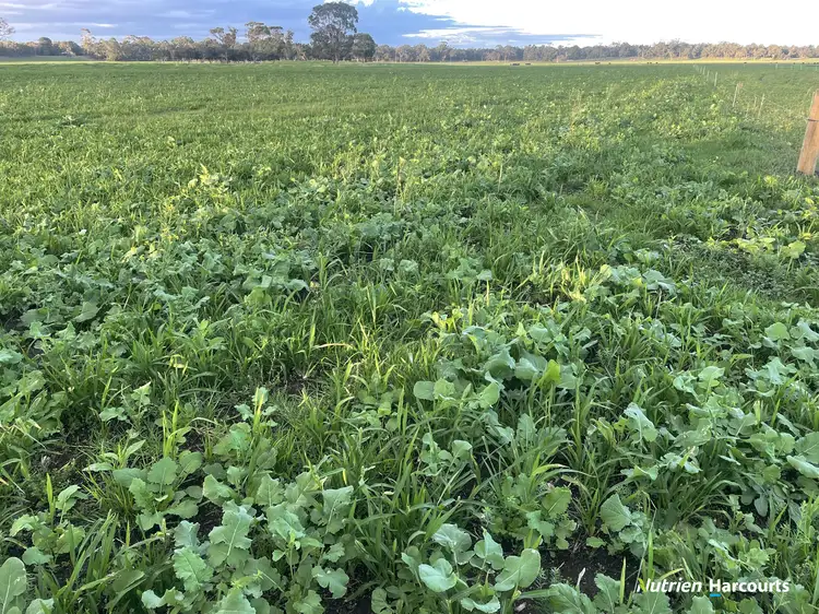 Third view of Homely rural property listing, 363 Morande Road, Narrikup WA 6326