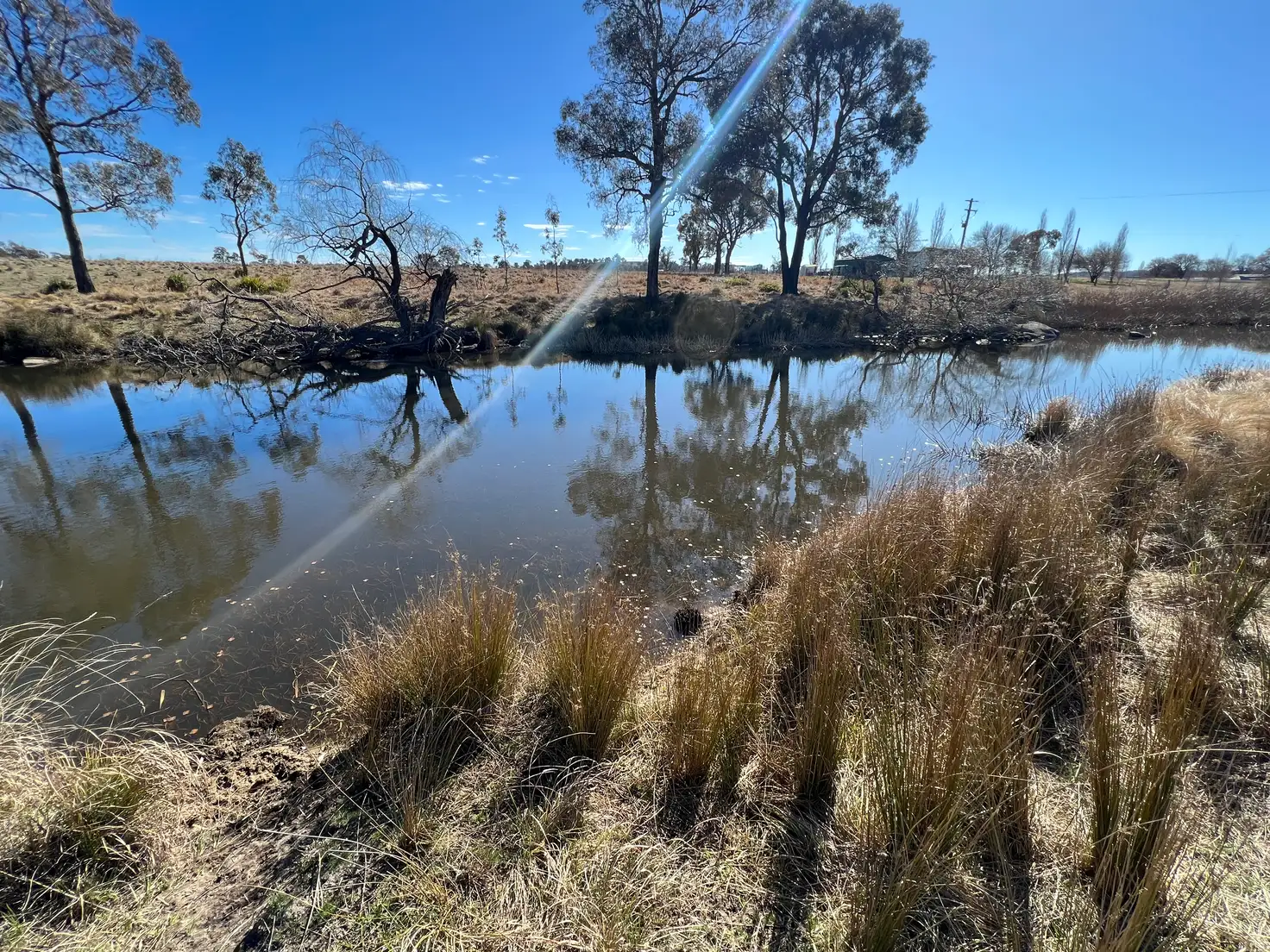 Main view of Homely land listing, LOT 7, * Severn River Road, Dundee NSW 2370