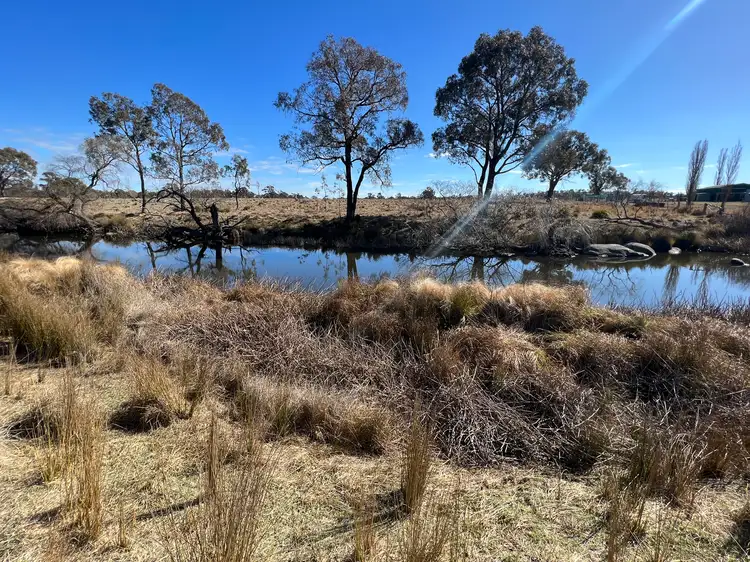 Fifth view of Homely land listing, LOT 7, * Severn River Road, Dundee NSW 2370