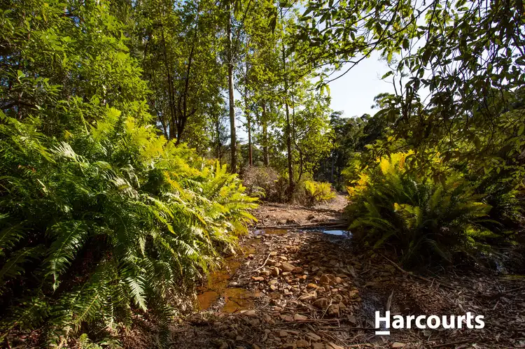 Lot 0 Highland Lakes Road, Golden Valley TAS 7304