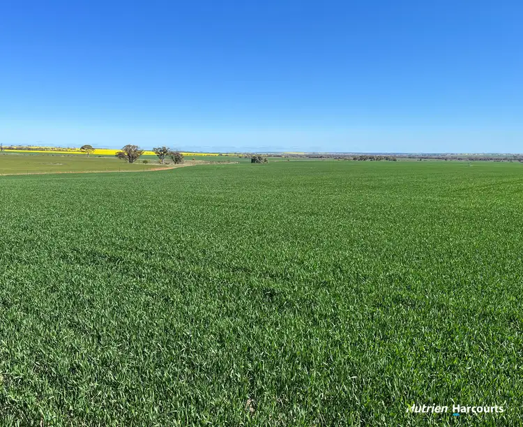 Main view of Homely rural property listing, S O L D 'Rocky Pass Quelagetting Road, Cunderdin WA 6407