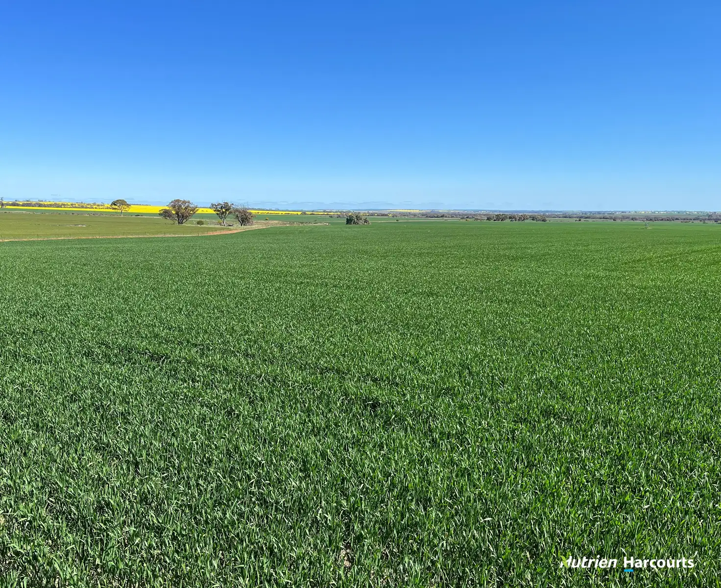Main view of Homely rural property listing, S O L D  'Rocky Pass Quelagetting Road, Cunderdin WA 6407