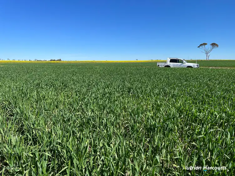 Fourth view of Homely rural property listing, S O L D  'Rocky Pass Quelagetting Road, Cunderdin WA 6407