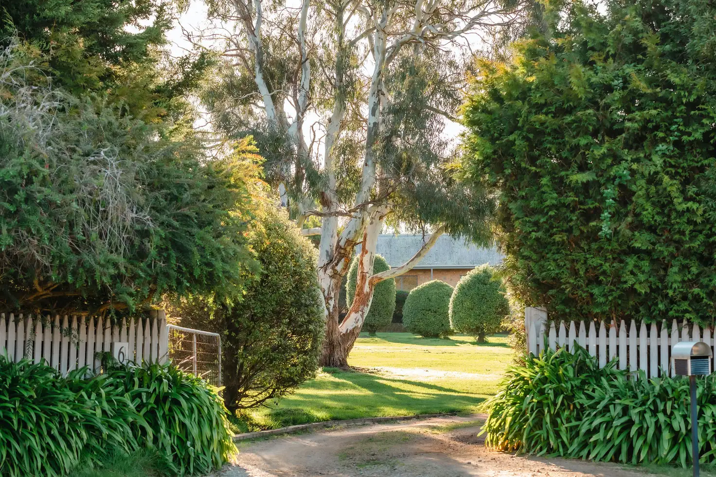 Main view of Homely house listing, 6 Yuille Avenue, Point Leo VIC 3916