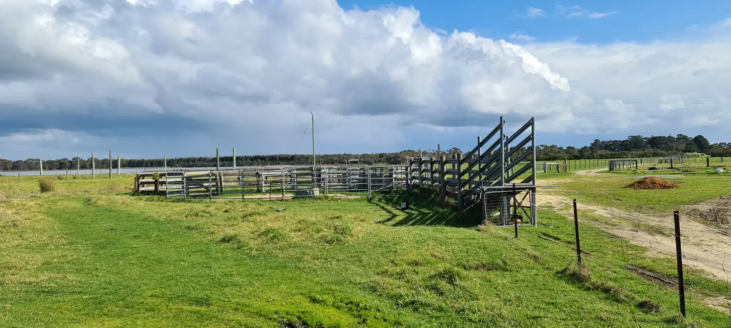 Main view of Homely rural property listing, 555 Spencer Road, Narrikup WA 6326