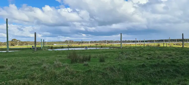 Fourth view of Homely rural property listing, 555 Spencer Road, Narrikup WA 6326