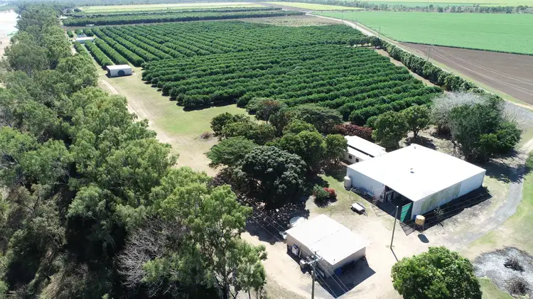 Main view of Homely rural property listing, 2662 Home Hill Kirknie Road, Kirknie QLD 4806