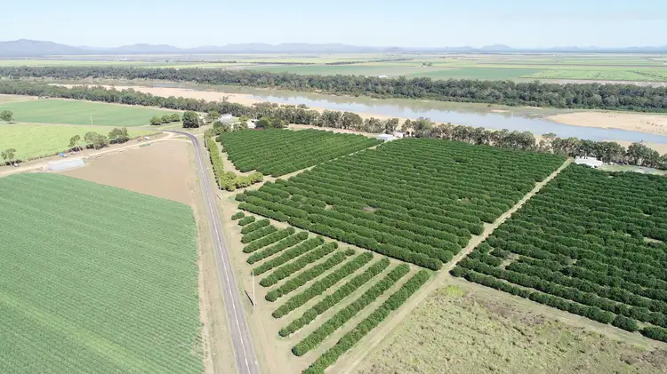 Third view of Homely rural property listing, 2662 Home Hill Kirknie Road, Kirknie QLD 4806