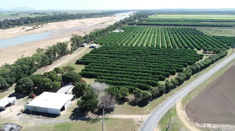 Fourth view of Homely rural property listing, 2662 Home Hill Kirknie Road, Kirknie QLD 4806