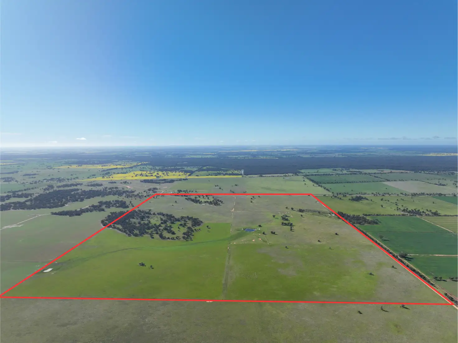 Main view of Homely rural property listing, "Morotai" Leetham Road, Deniliquin NSW 2710