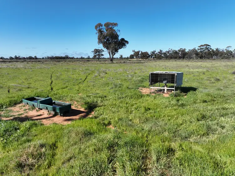Fourth view of Homely rural property listing, "Morotai" Leetham Road, Deniliquin NSW 2710