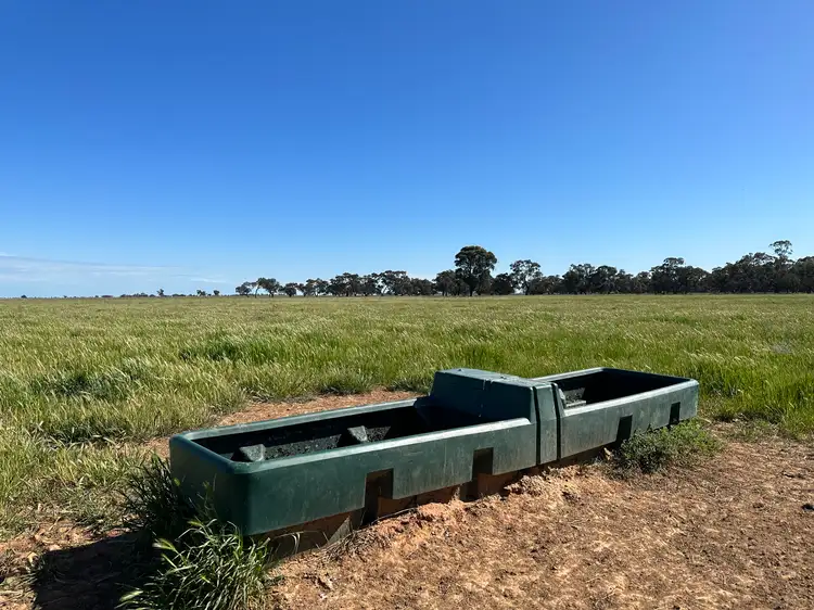 Sixth view of Homely rural property listing, "Morotai" Leetham Road, Deniliquin NSW 2710