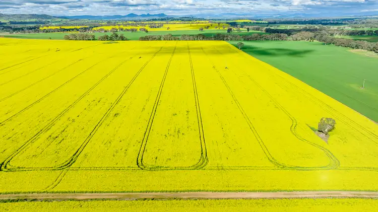 252 Bethel Road, Burrumbuttock NSW 2642