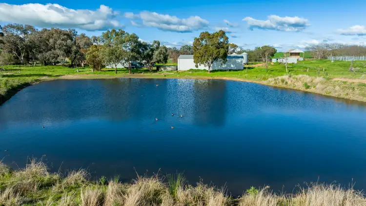 Fifth view of Homely rural property listing, 252 Bethel Road, Burrumbuttock NSW 2642