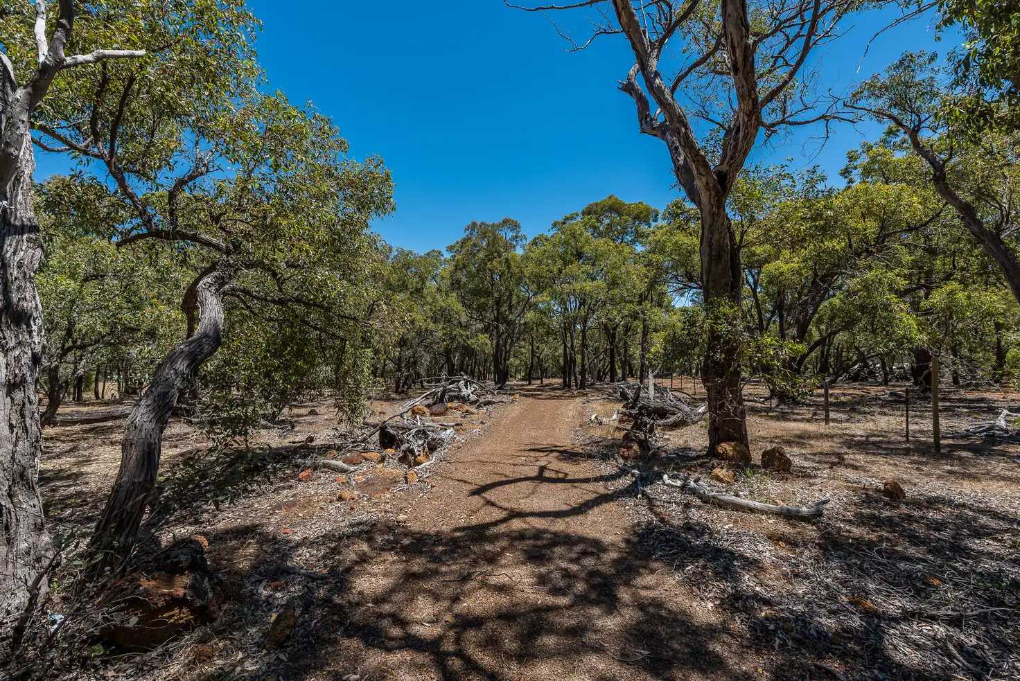 Main view of Homely land listing, 310 Maine-Anjou Drive, Lower Chittering WA 6084