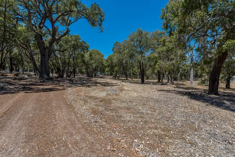 Third view of Homely land listing, 310 Maine-Anjou Drive, Lower Chittering WA 6084