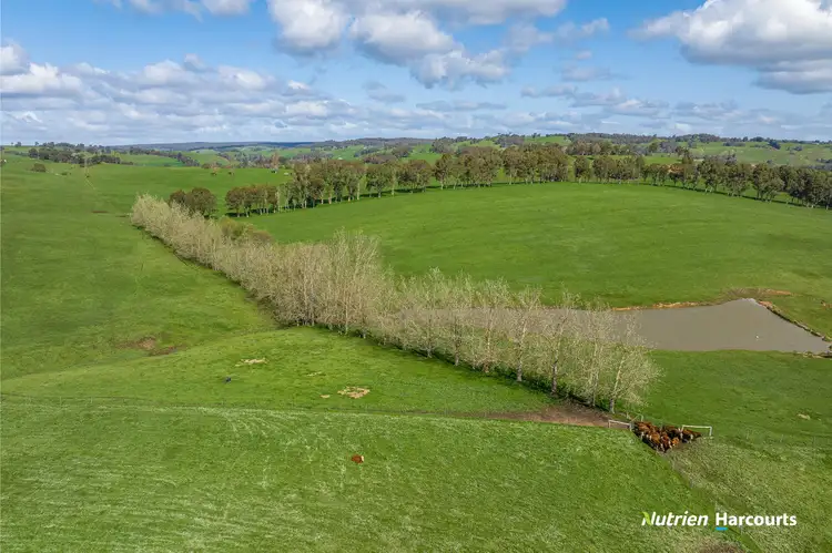 Third view of Homely rural property listing, 228 King Spring Road, Thomson Brook WA 6239