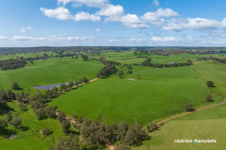 Fourth view of Homely rural property listing, 228 King Spring Road, Thomson Brook WA 6239