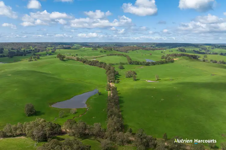 Fifth view of Homely rural property listing, 228 King Spring Road, Thomson Brook WA 6239