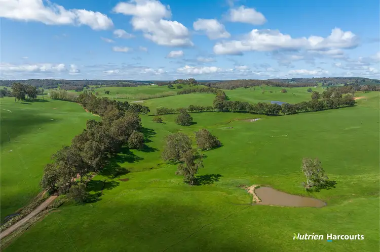 Sixth view of Homely rural property listing, 228 King Spring Road, Thomson Brook WA 6239