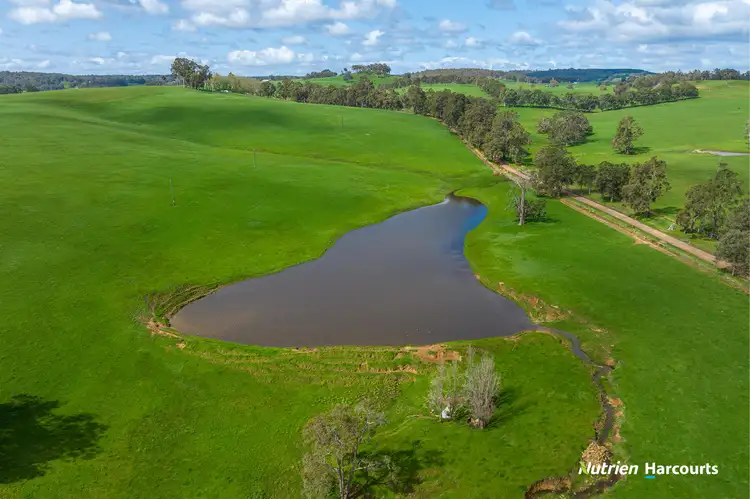 Seventh view of Homely rural property listing, 228 King Spring Road, Thomson Brook WA 6239
