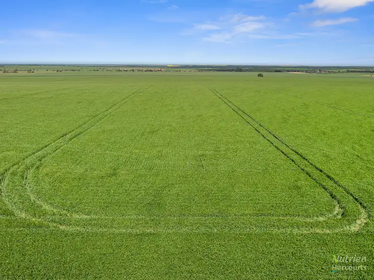 Fourth view of Homely rural property listing, 403 Quarry Road, Curramulka SA 5580