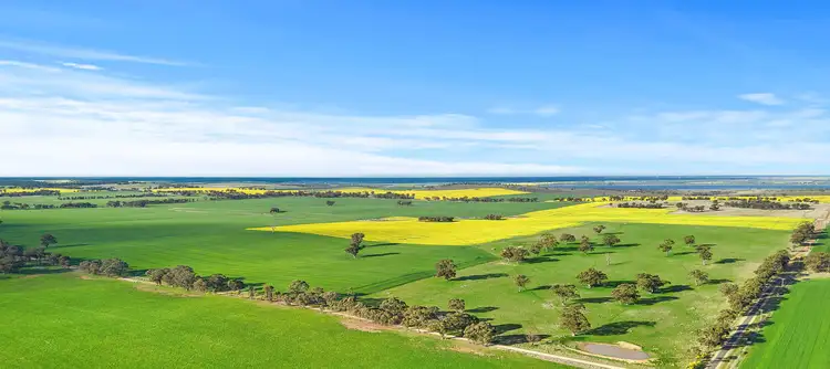 1101 Trewin Road, Runnymede VIC 3558