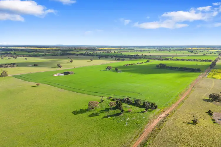 Second view of Homely rural property listing, 1101 Trewin Road, Runnymede VIC 3558