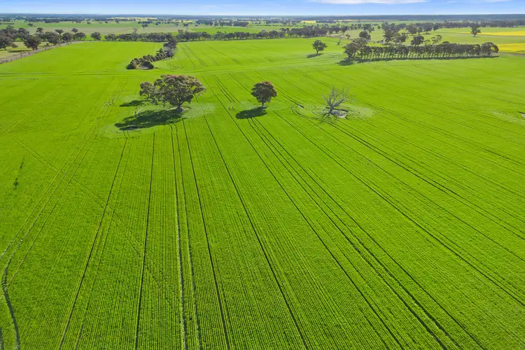 Fourth view of Homely rural property listing, 1101 Trewin Road, Runnymede VIC 3558