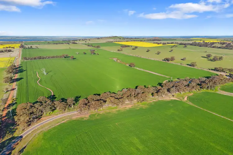 Fifth view of Homely rural property listing, 1101 Trewin Road, Runnymede VIC 3558