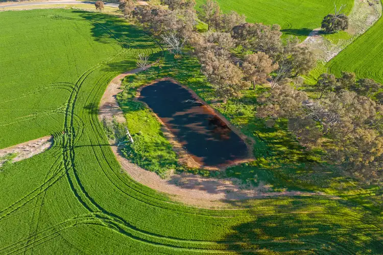Sixth view of Homely rural property listing, 1101 Trewin Road, Runnymede VIC 3558