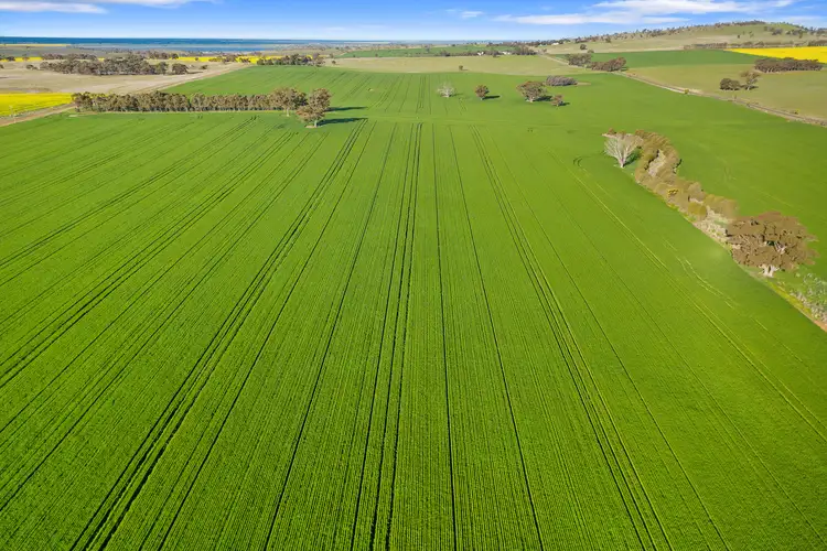 Seventh view of Homely rural property listing, 1101 Trewin Road, Runnymede VIC 3558