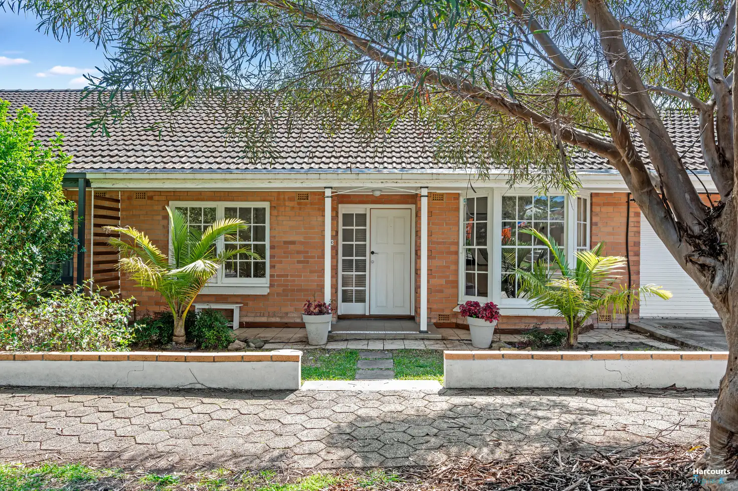 Main view of Homely house listing, 33 Torrens Street, Linden Park SA 5065