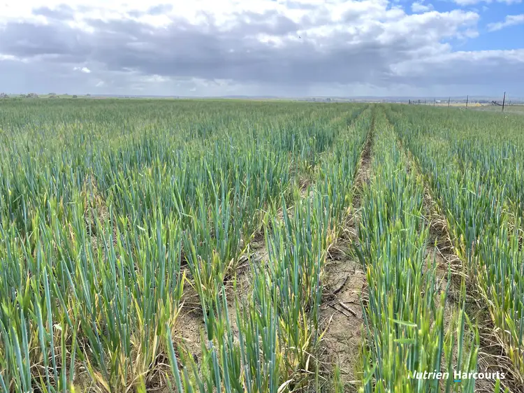 514 Airstrip Road, Moora WA 6510
